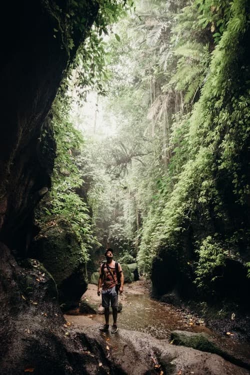 A person in a hat standing in a shallow stream inside a narrow mossy jungle gorge